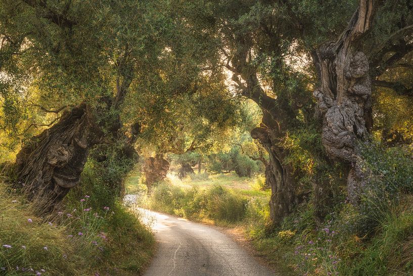 Die Hüter der griechischen Geschichte von Loris Photography