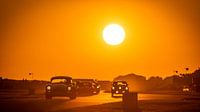 Goodwood Revival Sunset Cobra, Austin Healey, Jaguar