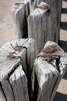 Buhnen am Strand von Cadzand, Zeeland.