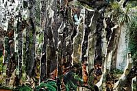 Monde imaginaire (2)