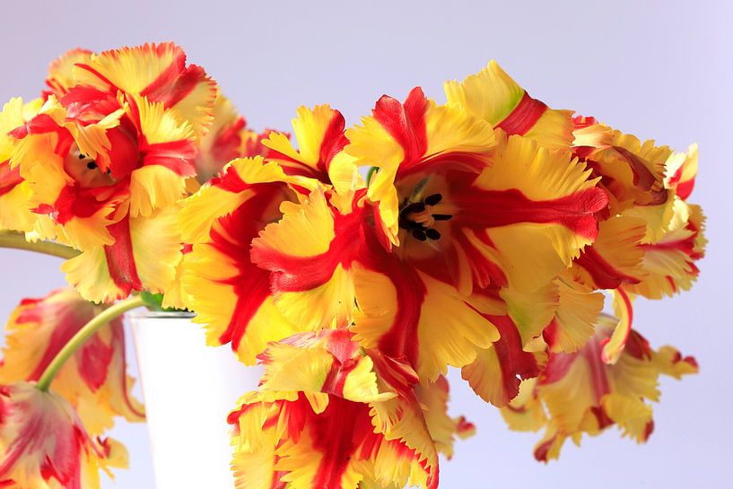 Pittoresque par Thomas Jäger