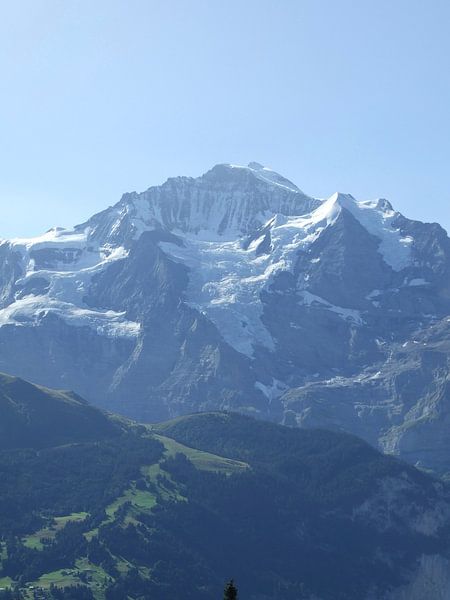 Jungfrau in al haar schoonheid von Mirjam Otto