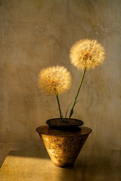 Botanical Brilliance. Still life with flowers. Fluff balls. by Alie Ekkelenkamp