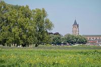 Gezicht op Gorinchem