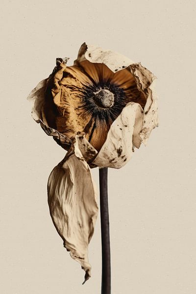 A Short Moment von Treechild