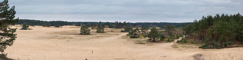 Panorama Sand drift  Hulshorst by Jenco van Zalk
