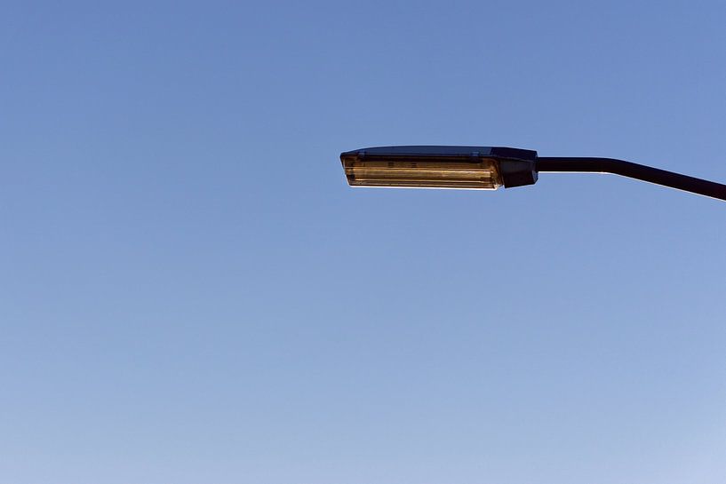 Lantern Head - 2017 von Timmy Bouwmann