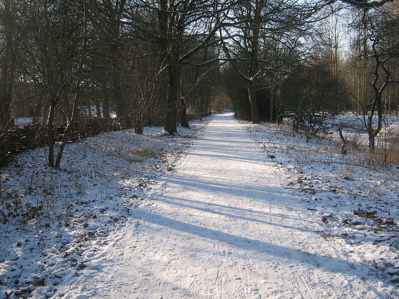 Chemin piétonnier par Sjoerd Jelle Wiersma