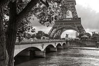 The Eiffel Tower on the Seine