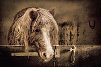 The night grows older day by day