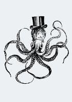 Mister octopus