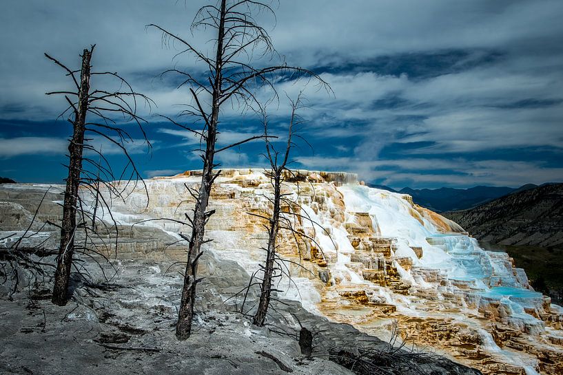 Mammoth Upper Terraces, Yellowstone National Park by Harold van den Hurk