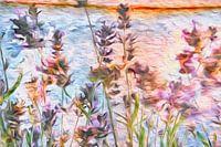 Feeling Lavender Provence