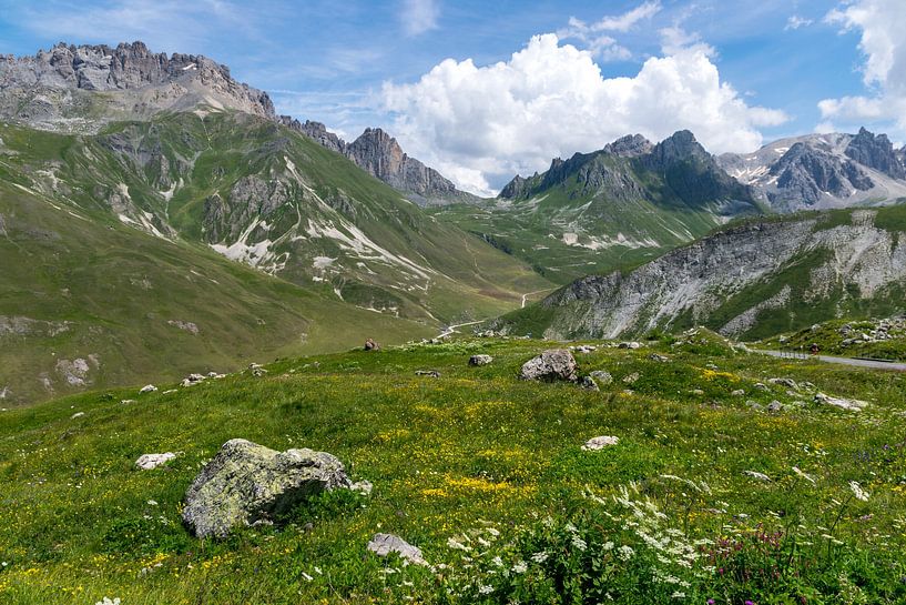 Magnificent mountain views in the French Alps by Linda Schouw