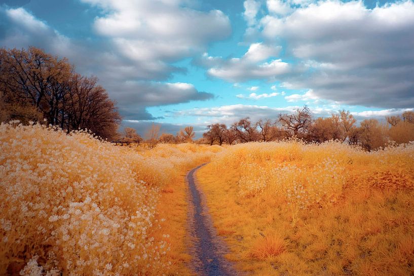 Wanderweg von ir dimensions