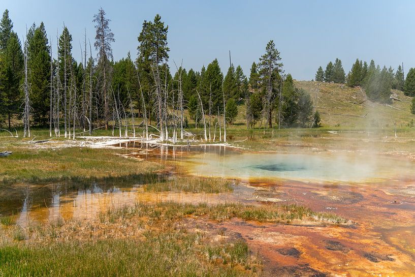 Hot spring in Yellowstone National Park, USA by Jeroen van Deel