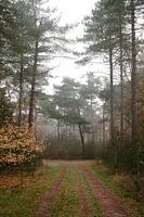 Den Treek-Henschoten Amersfoort