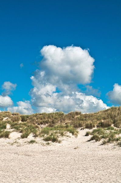 Nuage de rêve au-dessus de la plage de dunes du Jutland par Silva Wischeropp