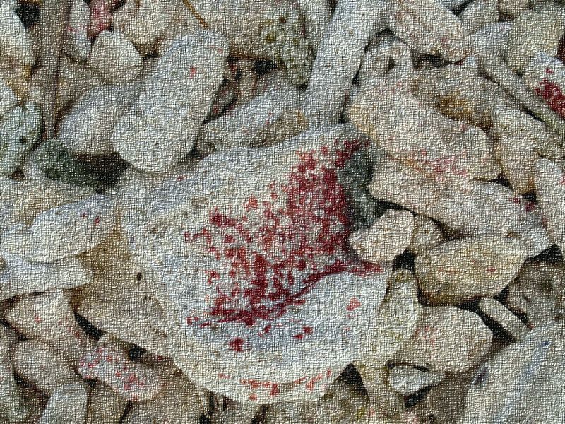 Koralle von Maurice Dawson