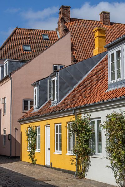 Scène de rue colorée à Odense par Sander Groenendijk