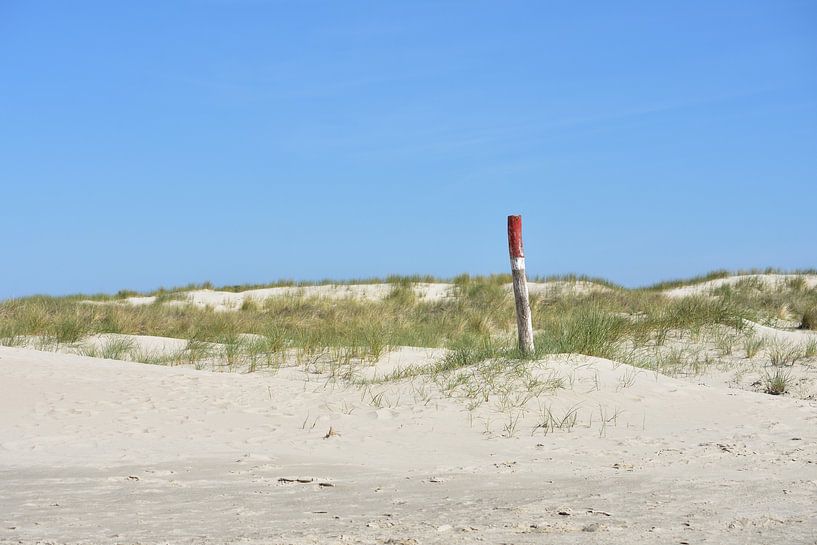 Dünen mit blauem Himmel von Philipp Klassen