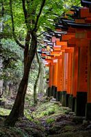 Temple gates in nature II