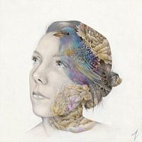 Die menschliche Natur IV