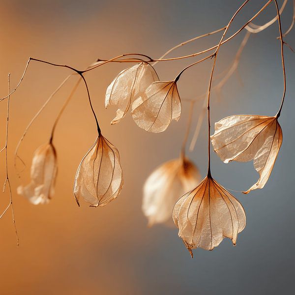 Subdued Splendour: Dried Seeds as Art of Simplicity by Karina Brouwer