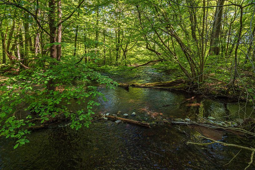 Landschap in de Misty Breakthrough Valley van Rico Ködder