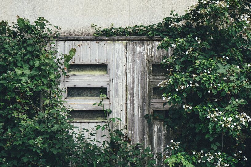 Alte Tür im Wald von Karlijne Geudens