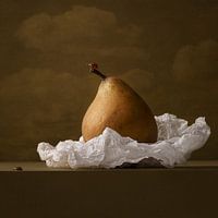 Marienkäfer Teil eins