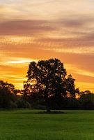 Sonnenaufgang in den Aaseeauen