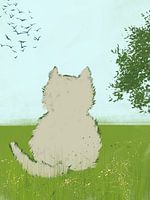 chat, observation des oiseaux, printemps