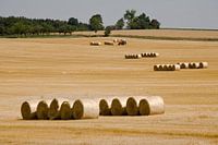 Straw bales