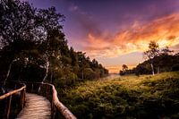 Nationalpark 'De Meinweg'