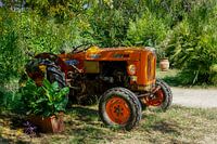 Tractor in Italian vineyard