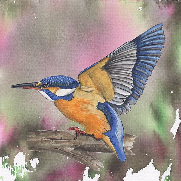 Martin-pêcheur par Jasper de Ruiter