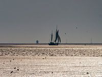 Basse eau de la mer des Wadden