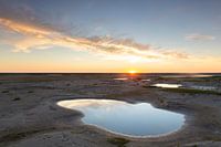 Ambiance du soir Watt 42