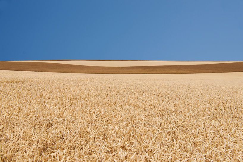 Paysage Culturel #9 von Floris Kok