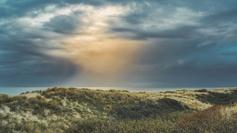Kannst du den Regen spüren von Rik Verslype