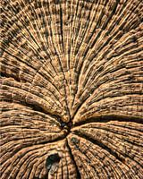 Sieht aus wie ein Springbrunnen