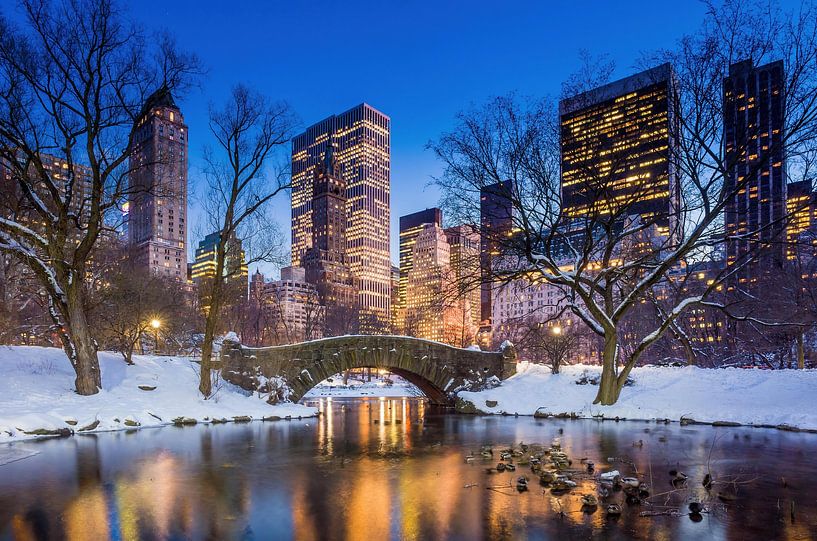 Gapstow-Brücke im Winter, Central Park, New York City, USA von Aloke Design