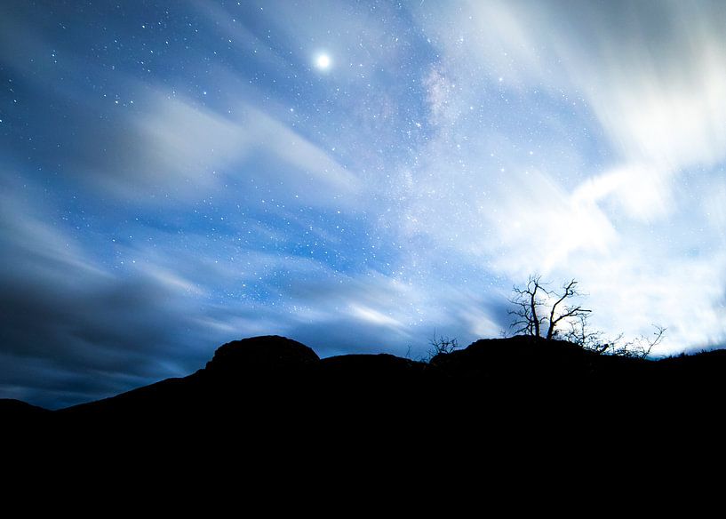 Einsamer Baum unter der Milchstraße von Lennart Verheuvel