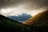 Berge und Bäume in Schottland - Cairngorms National Park