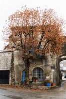 The house with the blue shutters