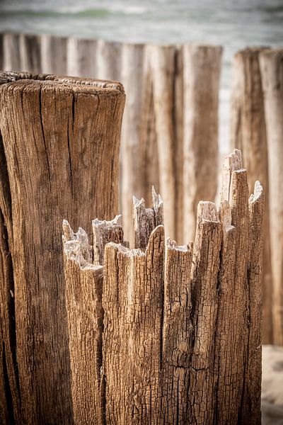 Breakwaters close-up in Zeeland by Michel Seelen