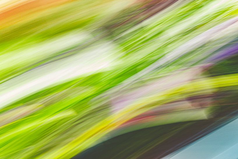 mix of grass and flour by Jan Peter Jansen