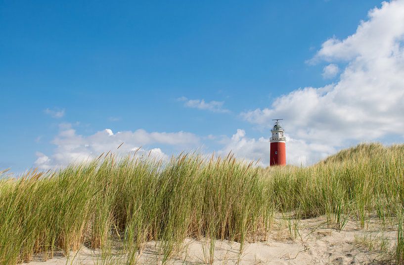 Texel von Jisca Kuijpers