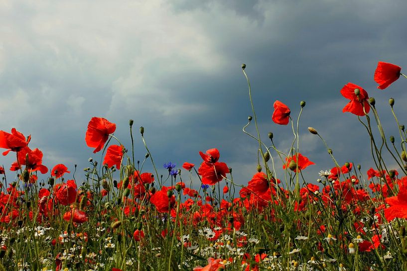 Gewitterstimmung von Ostsee Bilder